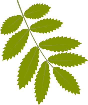 有问必答疾病知识,风湿患者问答