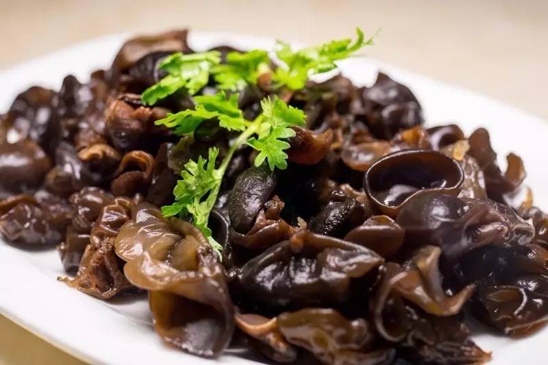 羊蝎子是啥玩意儿,真实羊蝎子吓人视频