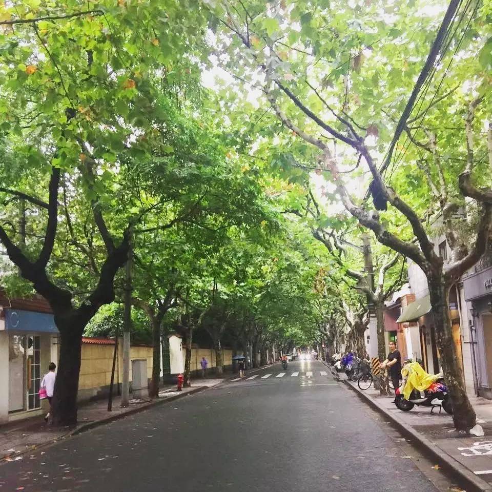 上海citywalk买买买,上海citywalk逛街路线