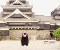 熊本熊发展历程,为什么是熊本熊