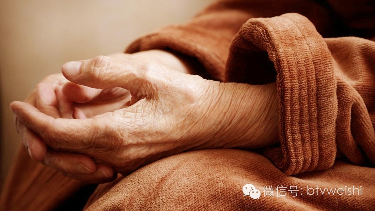 养生堂今日17:25播出《健康长寿营养先行》