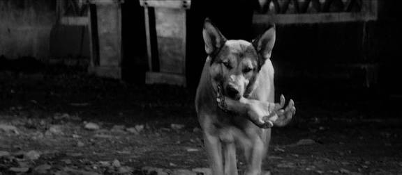 日本历史上十大经典片,日本公认的第一神片