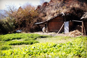 初冬的泸沽湖视频,初冬泸沽湖的水