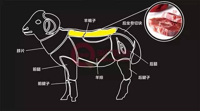 羊蝎子是啥玩意儿,真实羊蝎子吓人视频