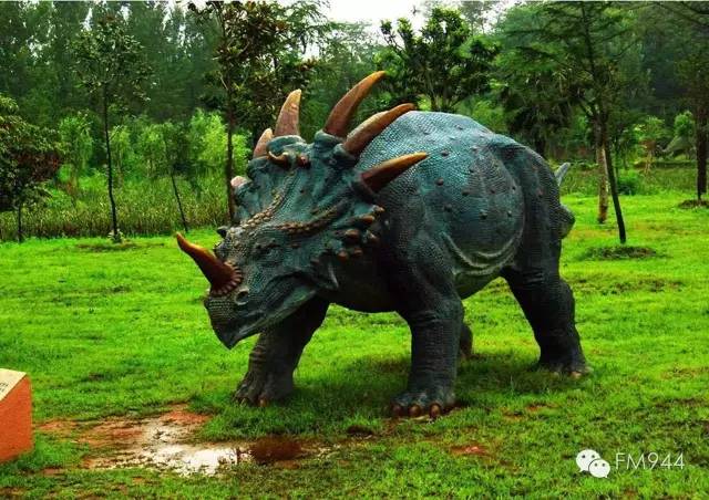 让你的假期多一份,让你的假期充满乐趣