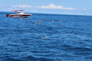 身心的放逐---毛里求斯