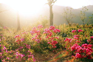 初冬的泸沽湖视频,初冬泸沽湖的水