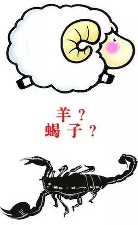 羊蝎子是啥玩意儿,真实羊蝎子吓人视频