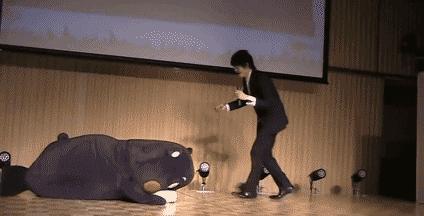 熊本熊发展历程,为什么是熊本熊