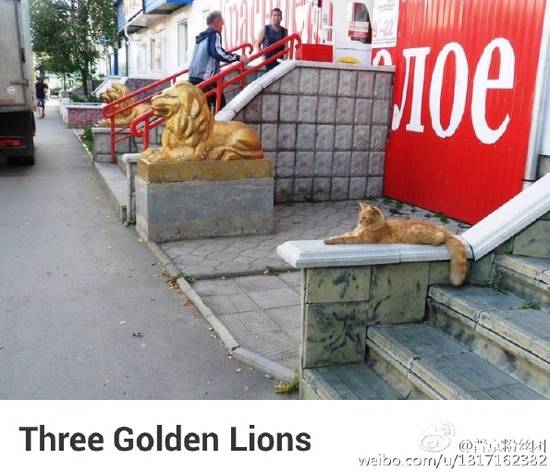 李易峰杨颖拿的什么奖,百花奖angelababy李易峰