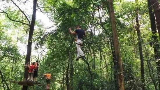 2020年重庆国庆期间景区排名 (重庆国庆期间景区推荐)