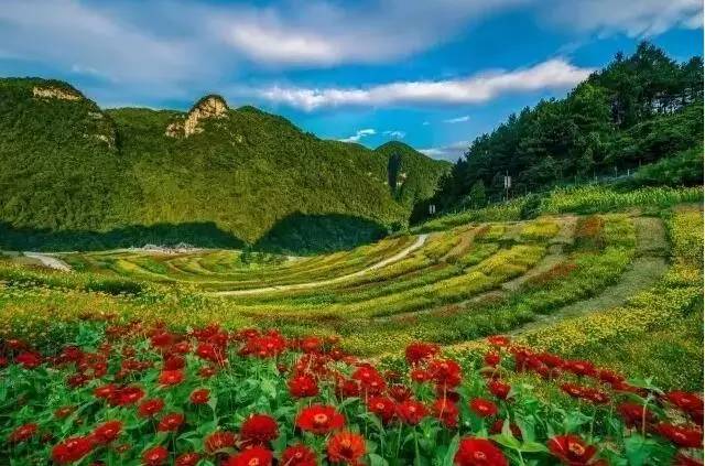 2020年重庆国庆期间景区排名 (重庆国庆期间景区推荐)