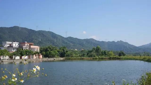 乡村度假民宿设计方案,浙江度假民宿设计方案推荐