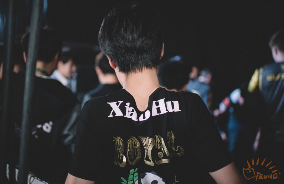 解说长毛在哪直播,长毛解说近况