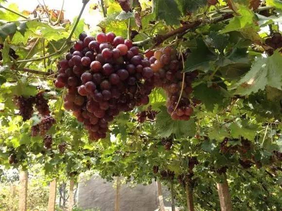 东莞中秋周边游去哪里好,中秋节周边游推荐