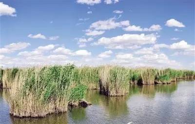 国庆特别策划②乐游·邂逅深秋醉美的内蒙古