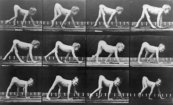 丑人俱乐部,丑人俱乐部有哪些