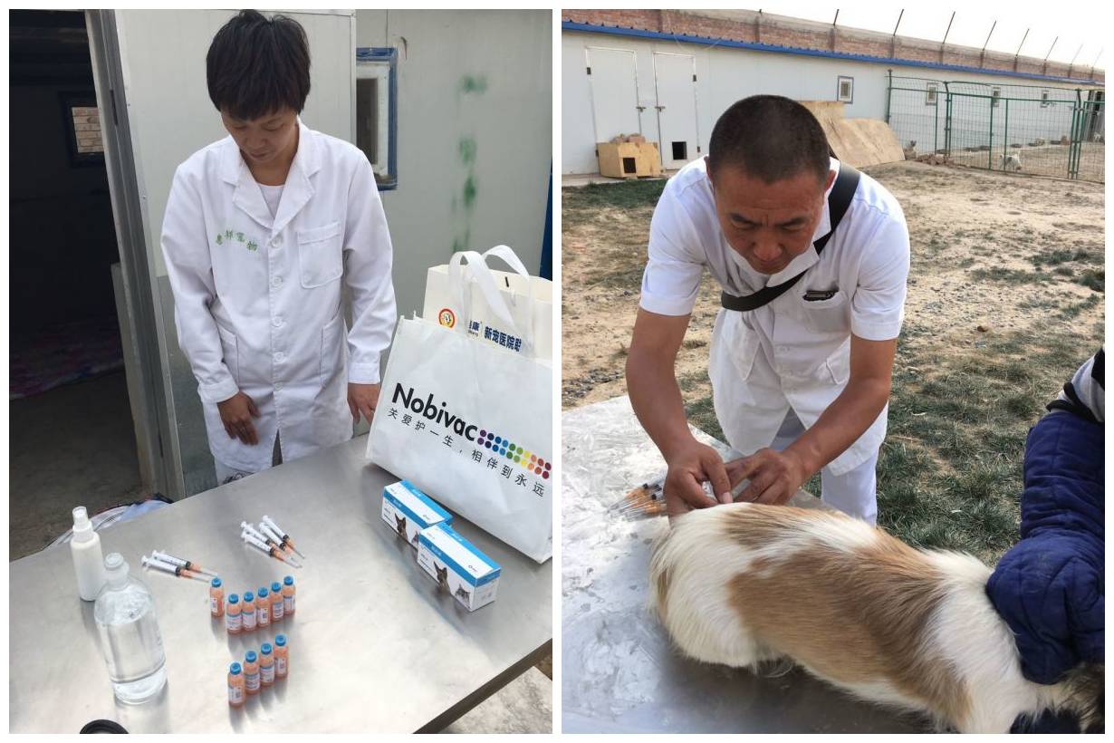 crc项目初期的准备工作,crc项目流程