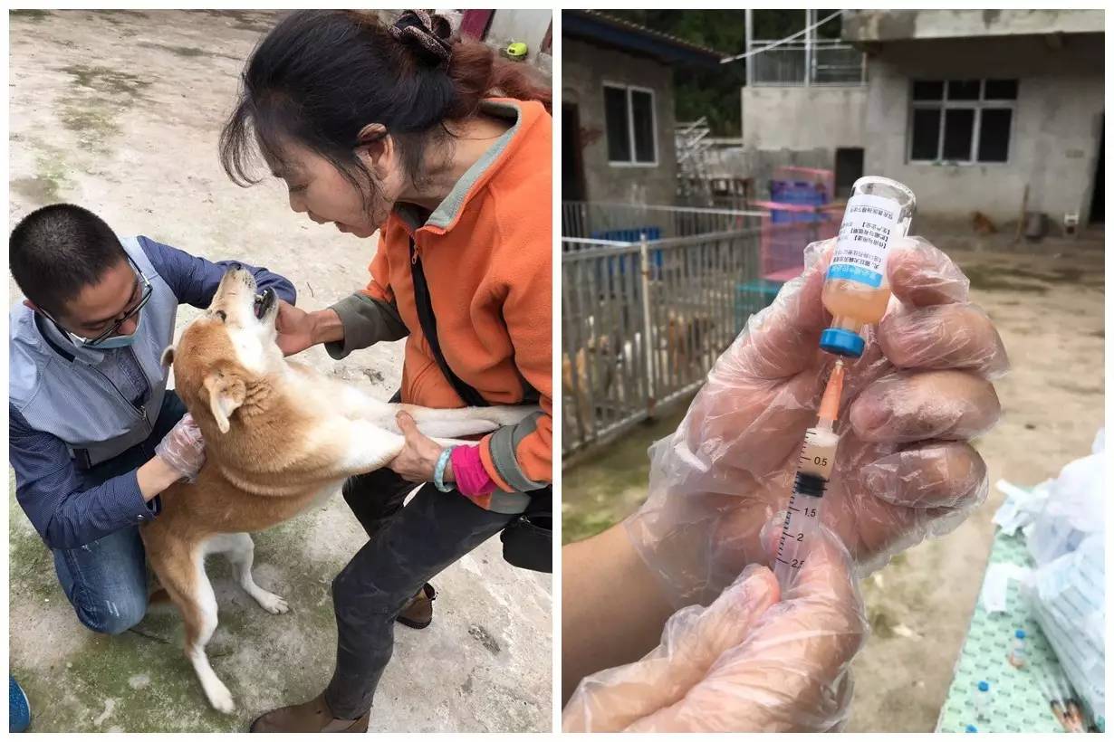 crc项目初期的准备工作,crc项目流程