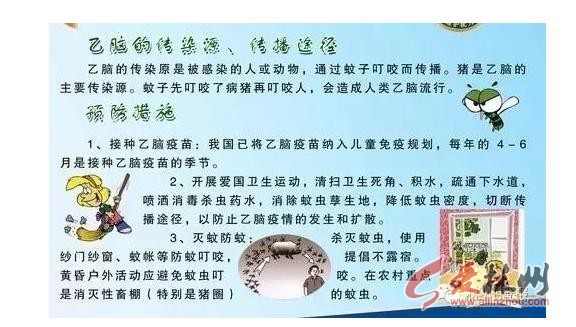 林州预防食管癌,林州防控