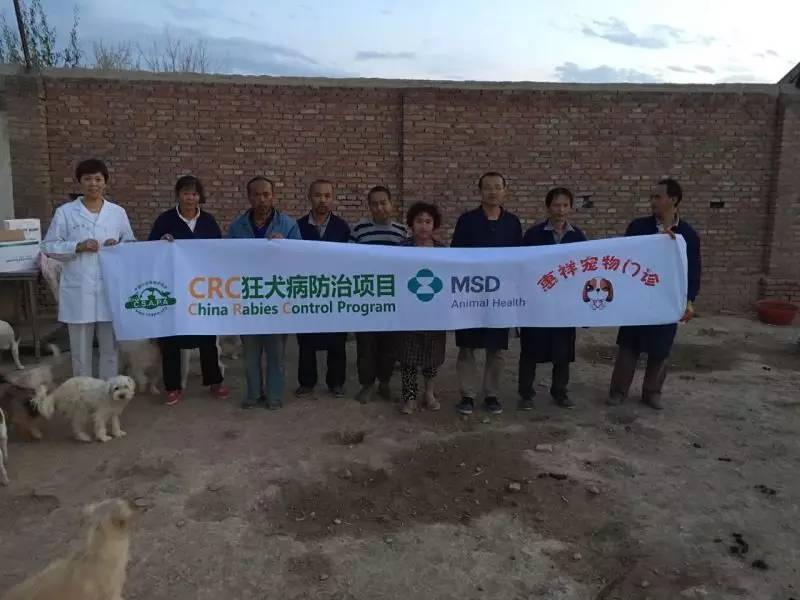 crc项目初期的准备工作,crc项目流程