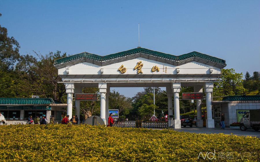 广州重阳登高最佳地点查询,九九重阳节登高日