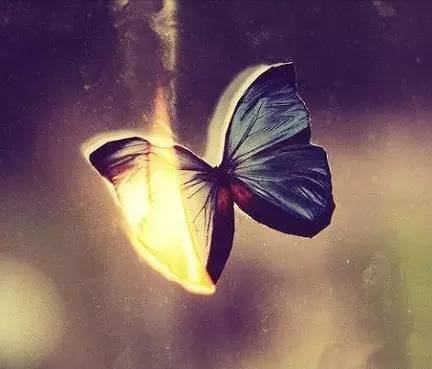 五年司考心路历程,过来人对司考的感悟