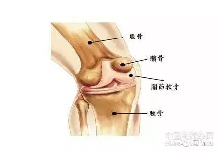 经验：必读，自行车尺寸导致的5种运动损伤！