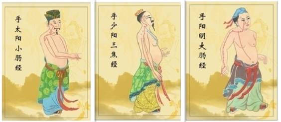 红墙健康行十二经络养生操完整版,经络养生调理活动