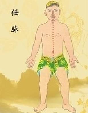 红墙健康行十二经络养生操完整版,经络养生调理活动