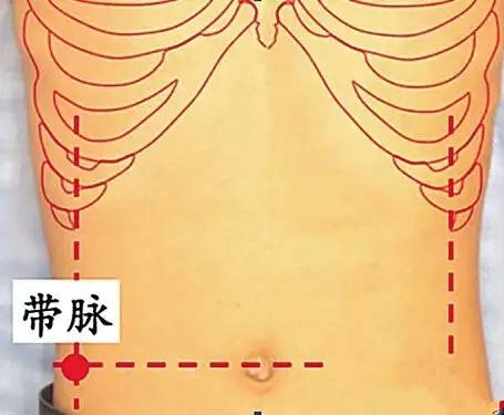 红墙健康行十二经络养生操完整版,经络养生调理活动