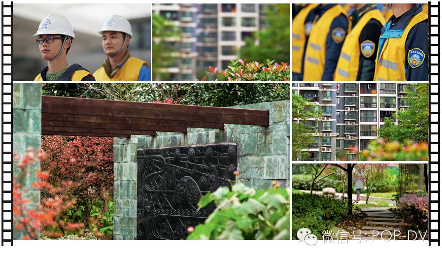 高性价比的电影头——Samyang（三阳）XEEN系列试用感受