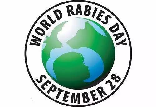 crc项目初期的准备工作,crc项目流程