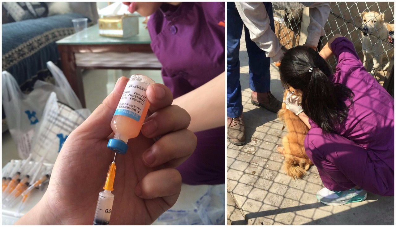 crc项目初期的准备工作,crc项目流程