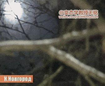 李易峰杨颖拿的什么奖,百花奖angelababy李易峰