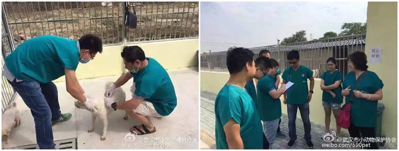 crc项目初期的准备工作,crc项目流程