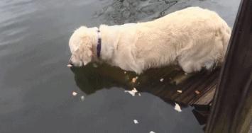 打麻将输1000笑话 (打牌输钱的幽默笑话)