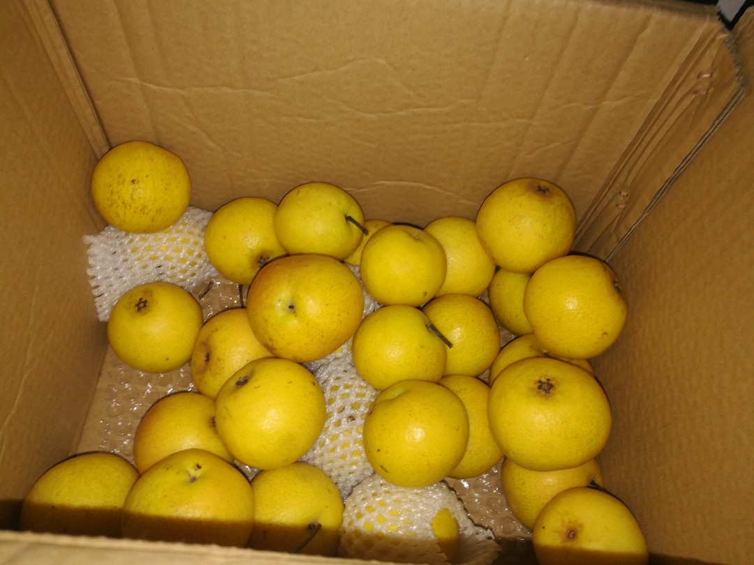 双11种草清单我准备买什么,双12种草大全