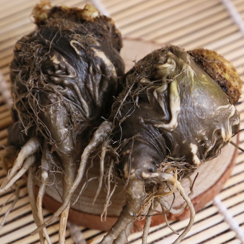 女人抗衰老的必备利器，聪明的女人都在看！