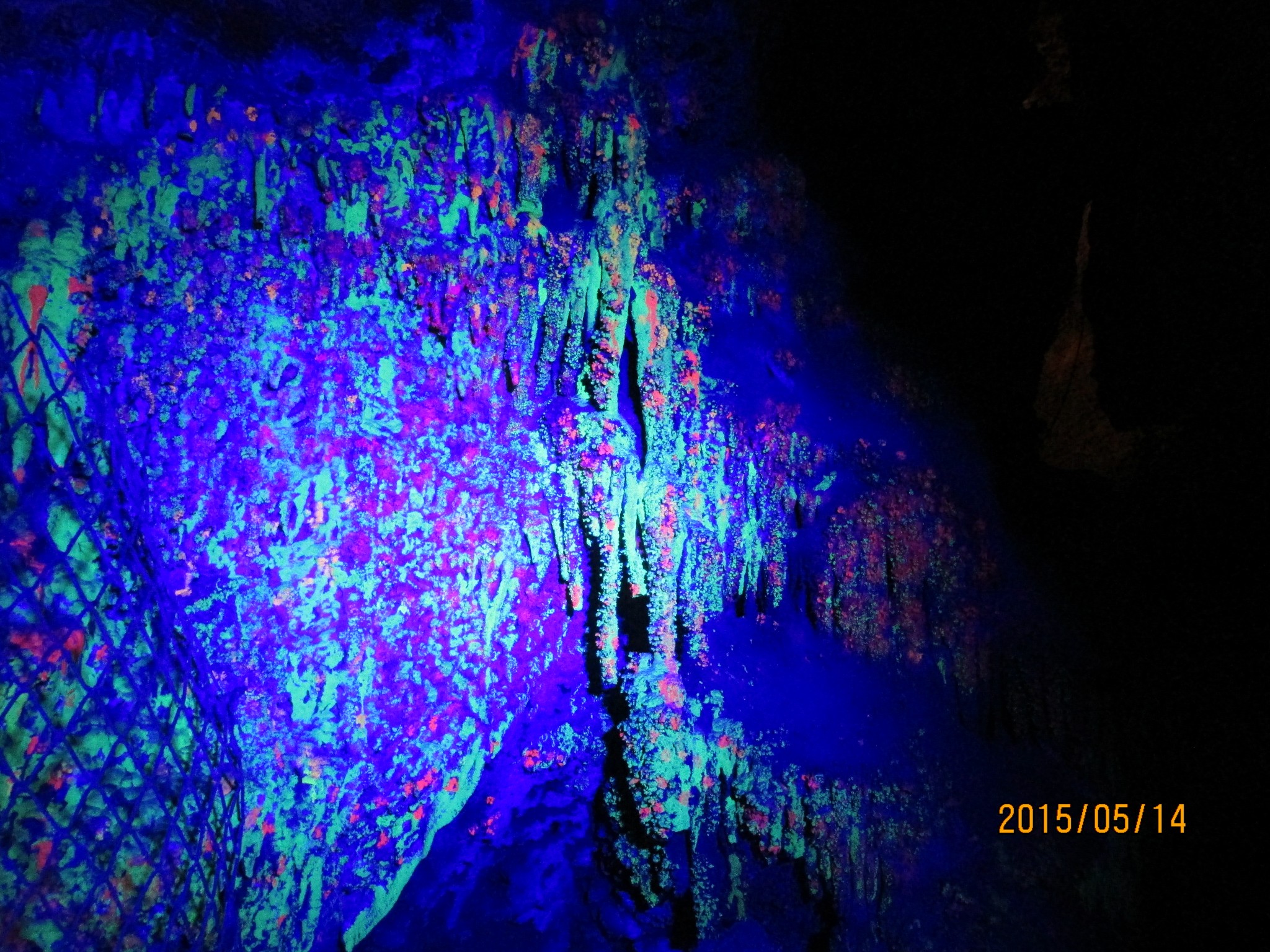 我的妈呀，住过洛阳的14个酒店完全让*欲人**仙欲死啊！