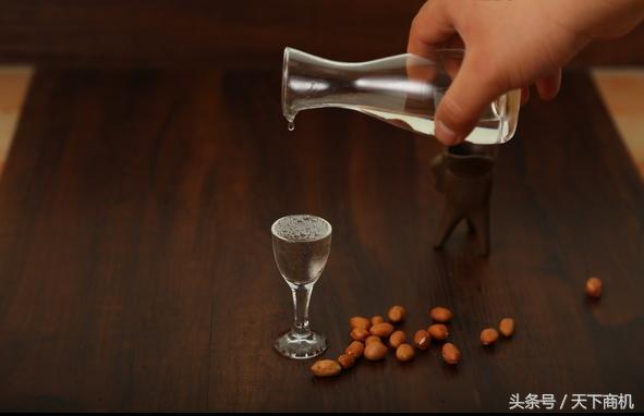 低端白酒代理关注什么,白酒代理的套路是什么呢