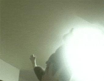 这猩猩成精了,这只猩猩成精了