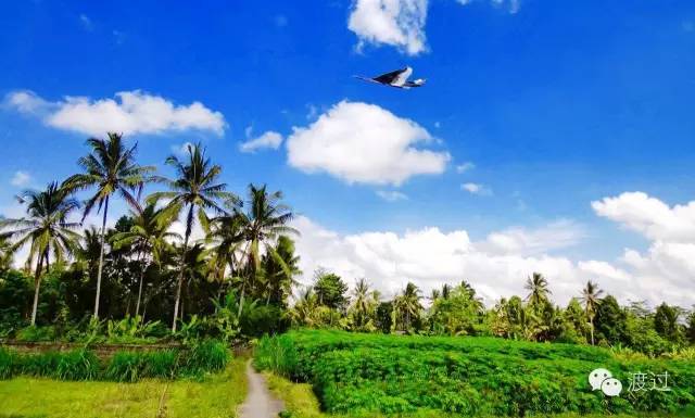 一次旅行治愈了我的抑郁症,一次旅行经历的感悟