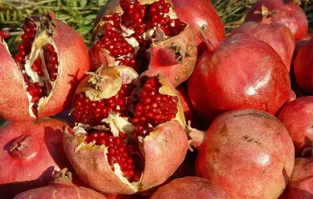 365天都吃不重样的武汉美食,武汉九月金秋美食