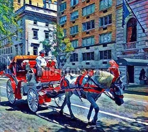 假期锦囊的图片,春节回家锦囊