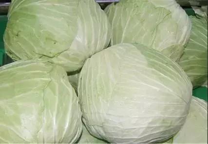 健康养生食物你学会了吗,24种健康养生的食物