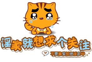 贵族长毛吉vs时尚短毛吉，你选哪一派