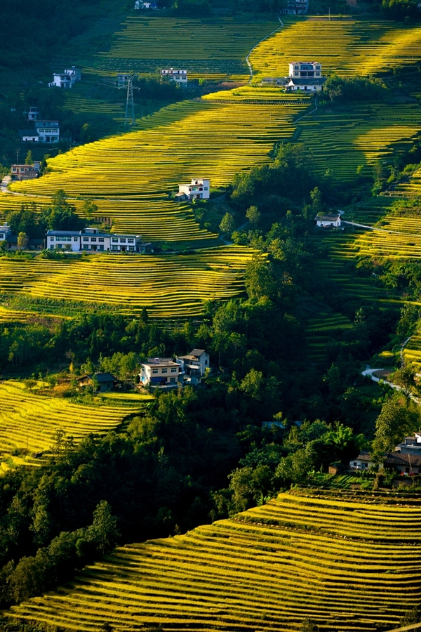 河南女娲伏羲,女娲和伏羲的遗址