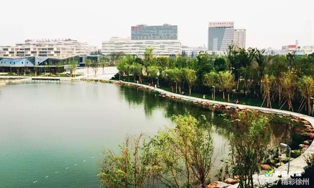 最美的5个赏桂好去处,不错过金秋赏桂好时节