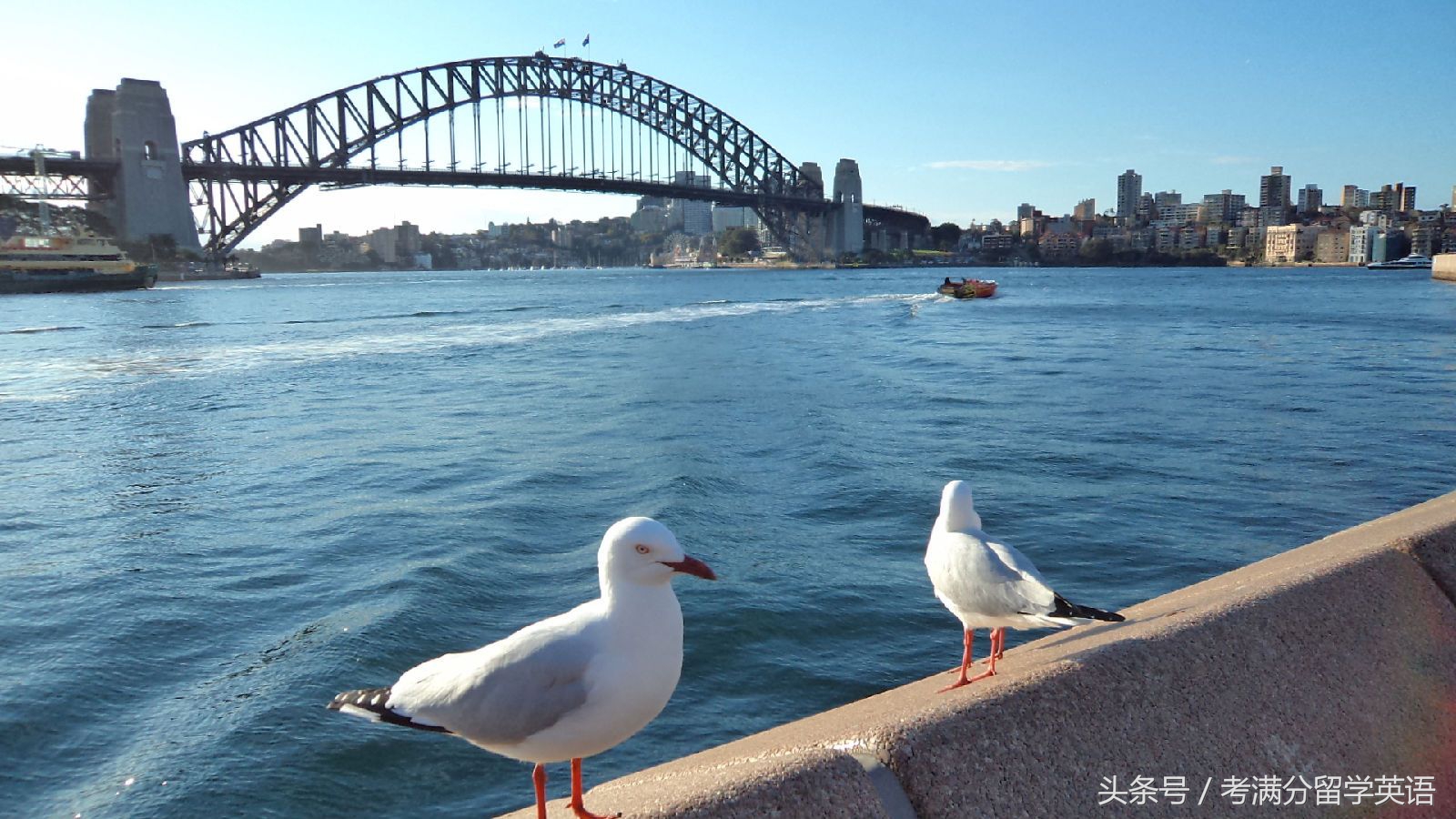零收入移民妈妈靠新生儿补贴就能养活一家，这是真的！